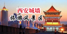 日本暴力强奸美女操的高潮嗷嗷叫变态黄视频中国陕西-西安城墙旅游风景区