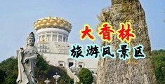 操淫荡贱逼视频中国浙江-绍兴大香林旅游风景区